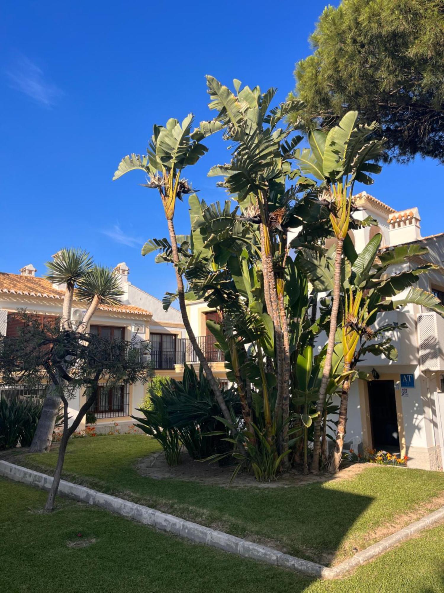 Apartamento Esquina Verde En Vera Coast Playas de Vera Esterno foto